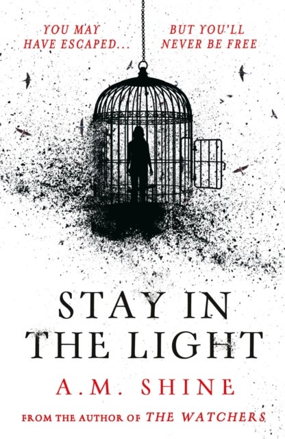 Stay in the Light - the chilling sequel to hit horror novel THE WATCHERS