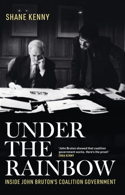 Under the Rainbow - Inside John Bruton's coalition government