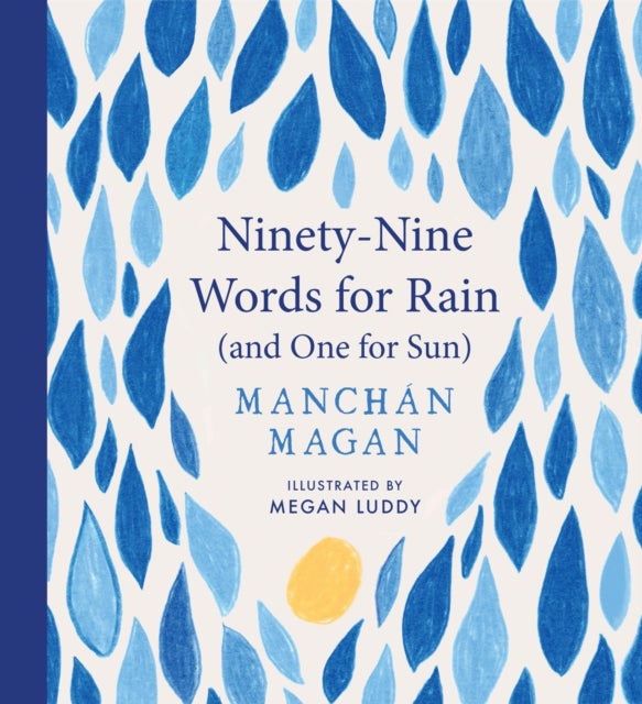 Ninety-Nine Words for Rain (and One for Sun) - WINNER THE AN POST IRISH BOOK AWARDS 2025