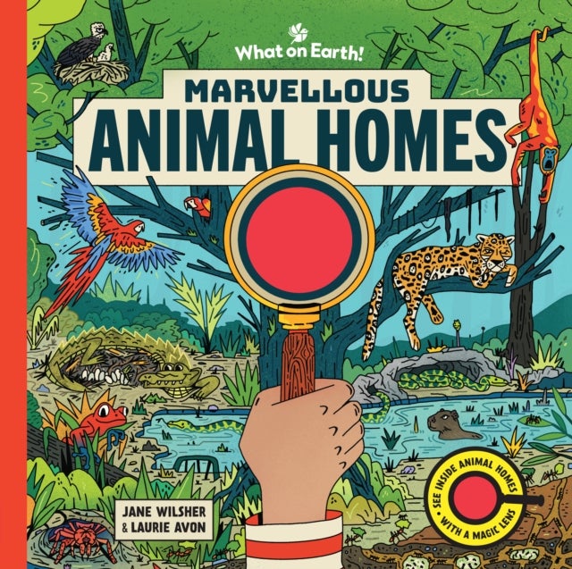 Marvellous Animal Homes - A Magic Lens Book