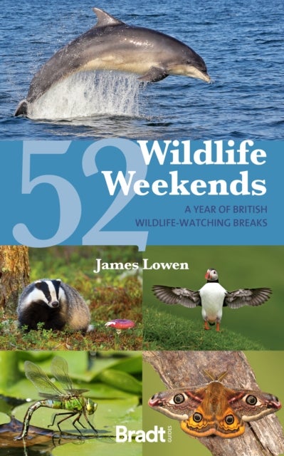52 Wildlife Weekends - A Year of British Wildlife-Watching Breaks