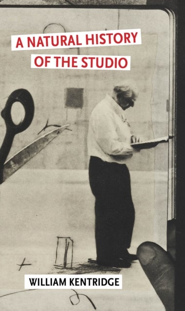 A Natural History of the Studio