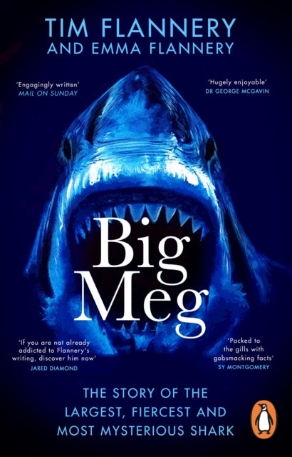 Big Meg - The Story of the Largest, Fiercest and Most Mysterious Shark
