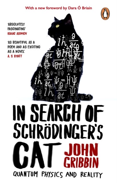 In Search Of Schrodinger's Cat - Updated Edition