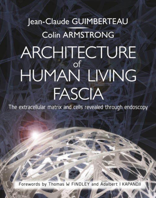 Architecture of Human Living Fascia - The Extracellular Matrix and Cells Revealed Through Endoscopy