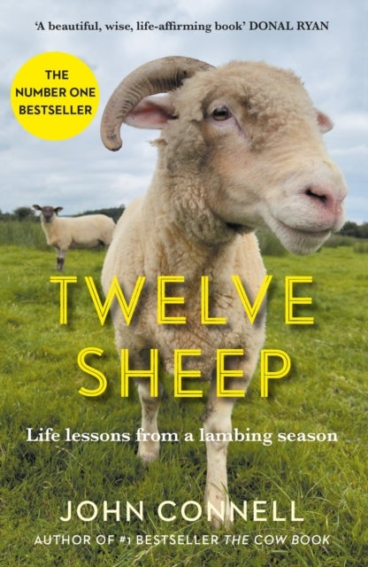 Twelve Sheep - Life lessons from a lambing season