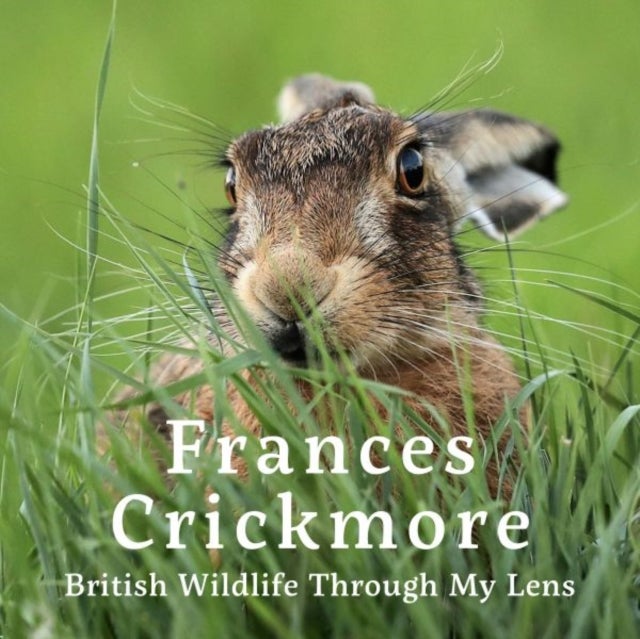 Frances Crickmore - British Wildlife Through My Lens