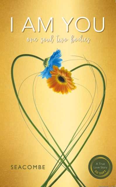 I AM YOU - One soul two bodies. A Twin-Flame Reunion