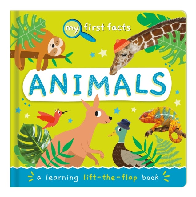Animals - a learning lift-the-flap book