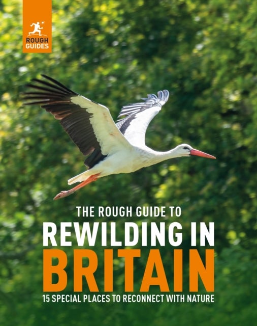 The Rough Guide to Rewilding in Britain - 15 Special Places to Reconnect with Nature