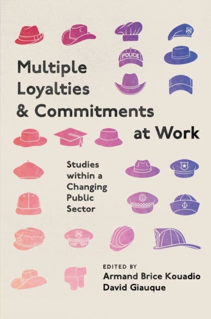 Multiple Loyalties and Commitments at Work - Studies within a Changing Public Sector