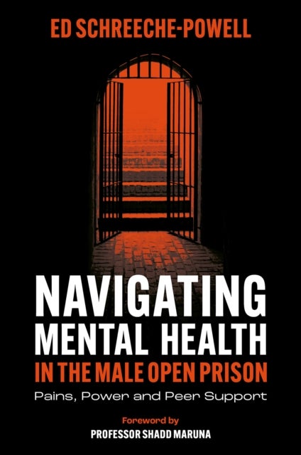 Navigating Mental Health in the Male Open Prison - Pains, Power and Peer Support