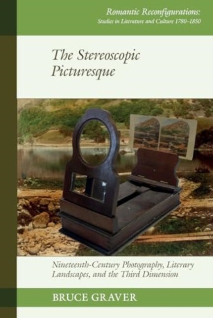 The Stereoscopic Picturesque - Nineteenth-Century Photography, Literary Landscapes, and the Third Dimension