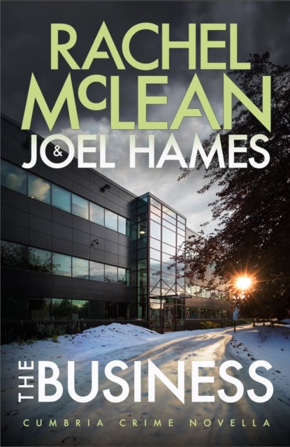 The Business - Cumbria Crime Novella