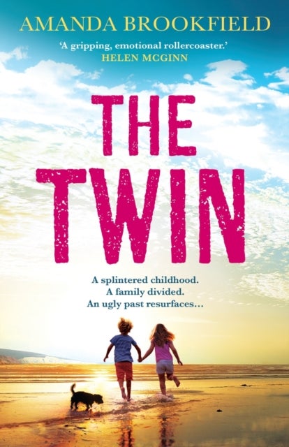 The Twin - The heart-wrenching, 'perceptive and poignant' family drama from Amanda Brookfield for 2026