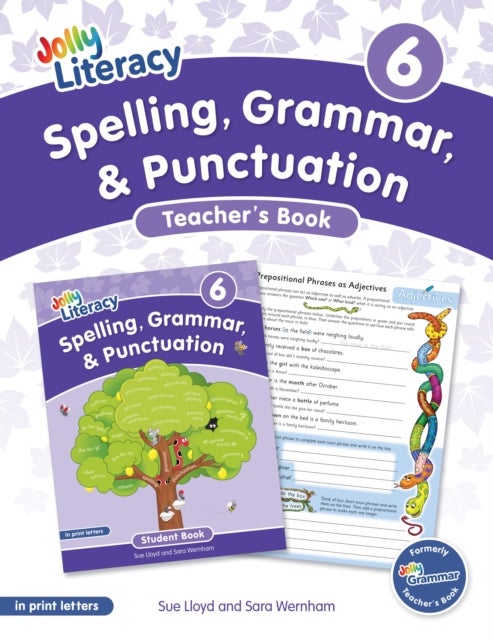 Spelling, Grammar, & Punctuation Teacher’s Book 6 - In Print Letters (American English edition)