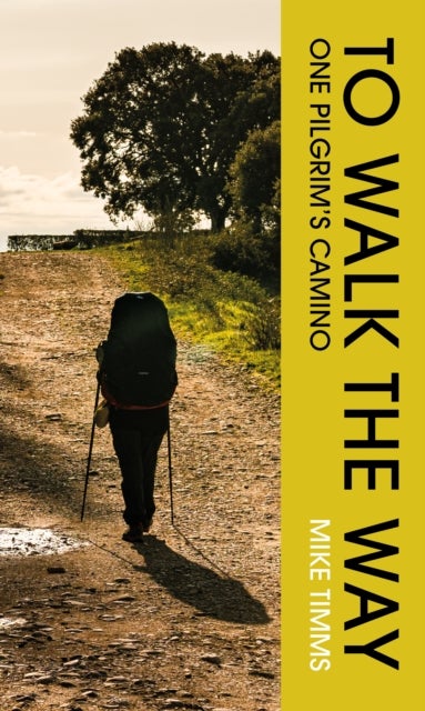TO WALK THE WAY - One Pilgrim's Camino