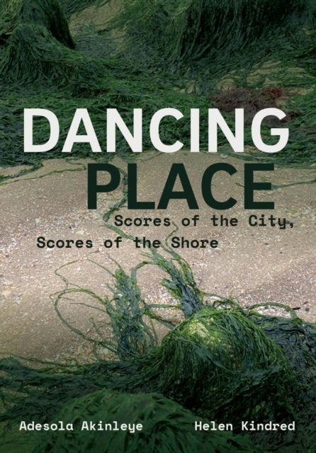 Dancing Place - Scores of the City, Scores of the Shore