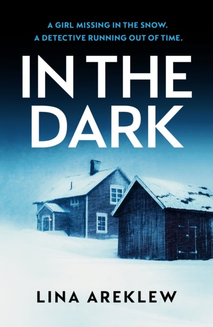 In the Dark - A gripping and atmospheric Scandi noir crime thriller for fans of Will Dean