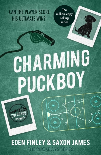 Charming Puckboy - A second chance, opposites attract mm hockey player romance