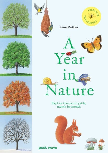 A Year in Nature - Explore the Countryside, Month by Month