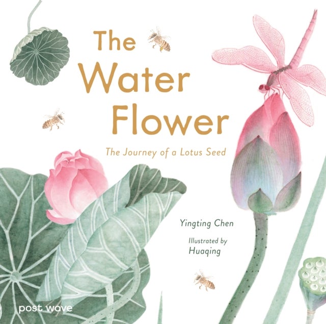 The Water Flower - The Journey of a Lotus Seed
