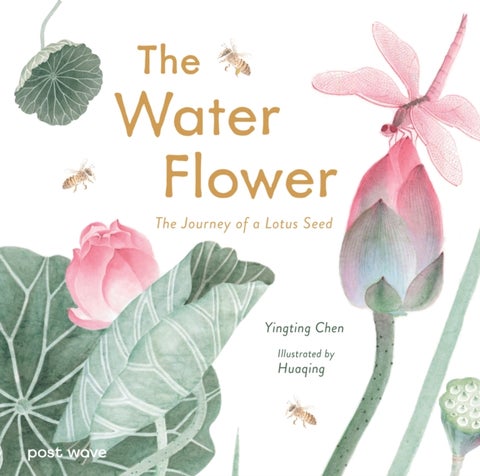 The Water Flower - The Journey of a Lotus Seed