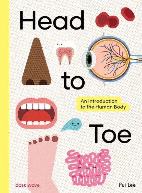Head to Toe - An Introduction to the Human Body