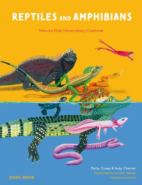 Reptiles and Amphibians - Nature's Most Extraordinary Creatures