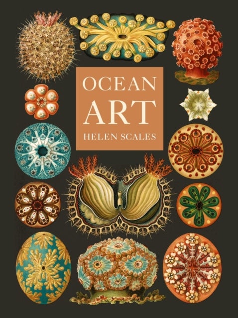 Ocean Art - From the Shore to the Deep