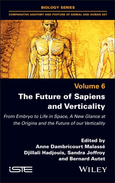 The Future of Sapiens and Verticality - From Embryo to Life in Space, A New Glance at the Origins and the Future of our Verticality