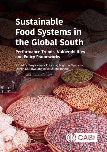 Sustainable Food Systems in the Global South - Performance Trends, Vulnerabilities and Policy Frameworks