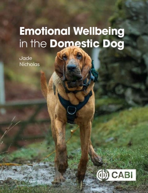 Emotional Wellbeing in the Domestic Dog