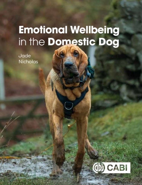 Emotional Wellbeing in the Domestic Dog