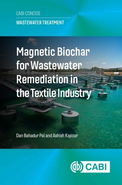 Magnetic Biochar for Wastewater Remediation in the Textile Industry