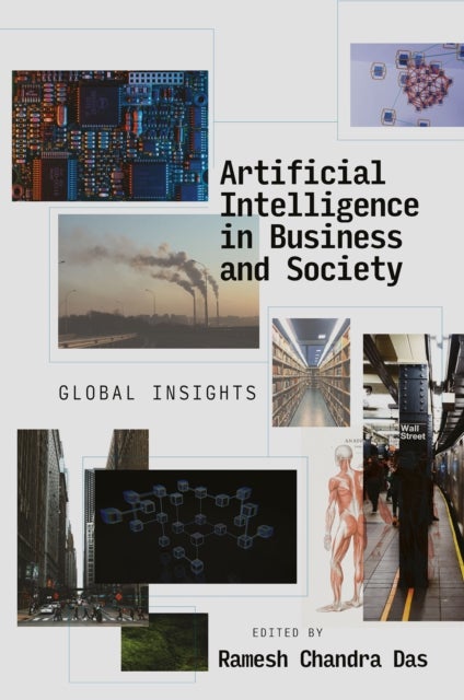 Artificial Intelligence in Business and Society - Global Insights