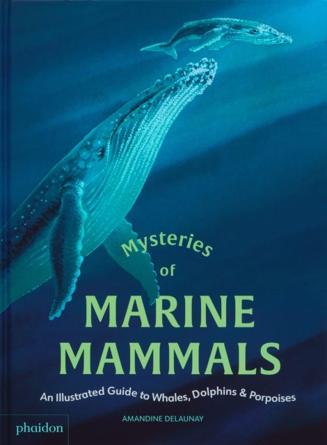 Mysteries of Marine Mammals - An Illustrated Guide to Whales, Dolphins, and Porpoises