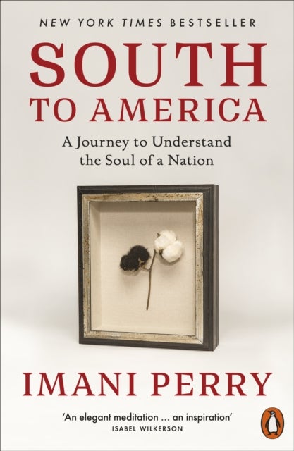 South to America - A Journey to Understand the Soul of a Nation