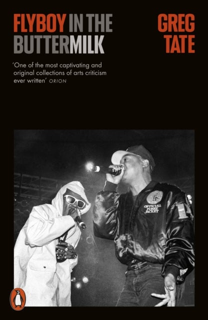 Flyboy in the Buttermilk - Essays on Contemporary America