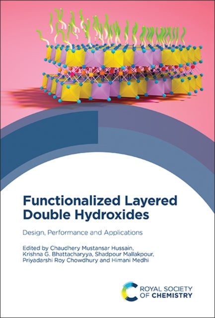 Functionalized Layered Double Hydroxides - Design, Performance and Applications