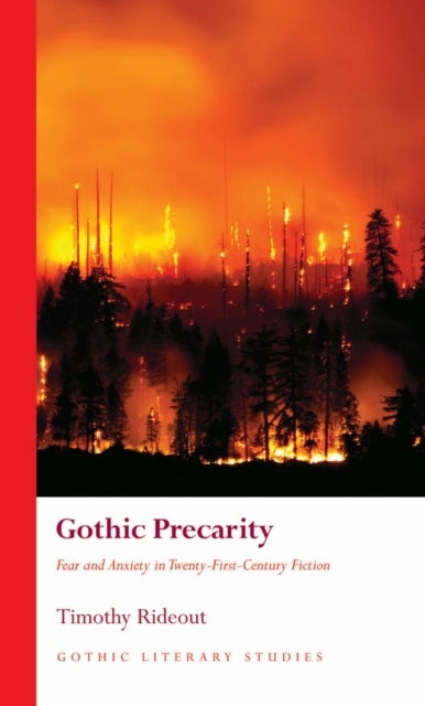 Gothic Precarity - Fear and Anxiety in Twenty-First-Century Fiction