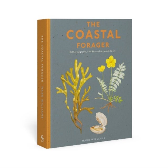 The Coastal Forager