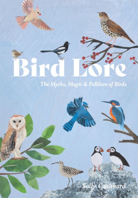 Bird Lore - The Myths, Folklore and Meaning of Birds
