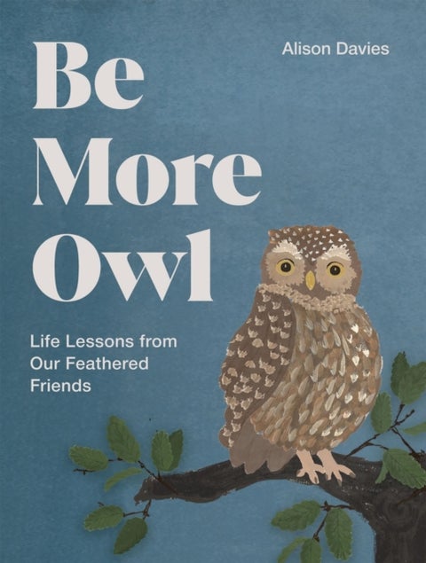 Be More Owl - Life Lessons from Our Feathered Friends