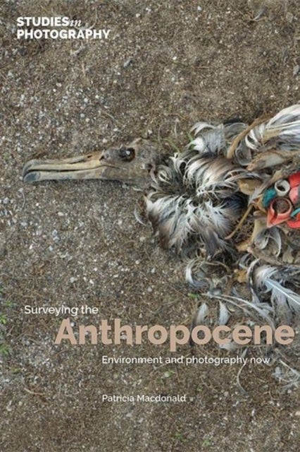 Surveying the Anthropocene: - Environment and Photography Now