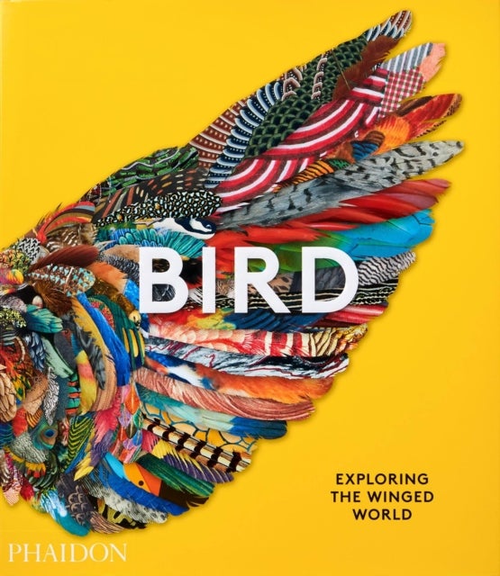 Bird - Exploring the Winged World