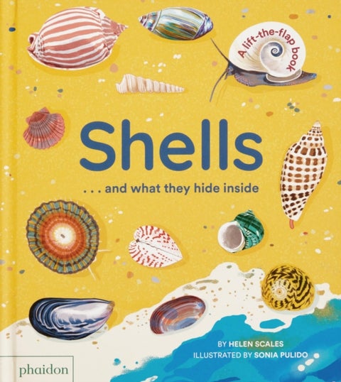 Shells... and what they hide inside - A Lift-the-Flap Adventure