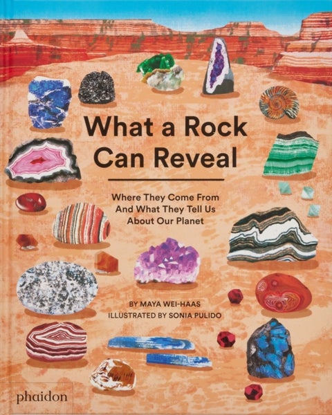 What a Rock Can Reveal - Where They Come From And What They Tell Us About Our Planet