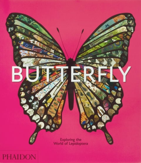 Butterfly - Exploring the World of Lepidoptera