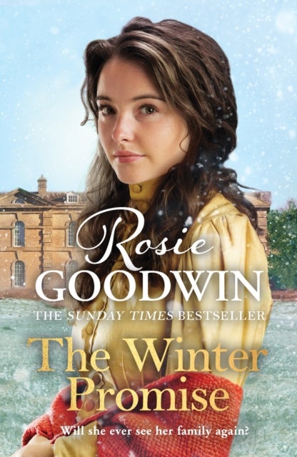The Winter Promise - A perfect cosy Victorian saga from the Sunday Times bestselling author